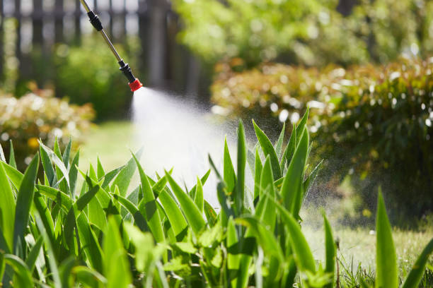 24/7 Emergency Mosquito Control experts in Blackfoot, ID