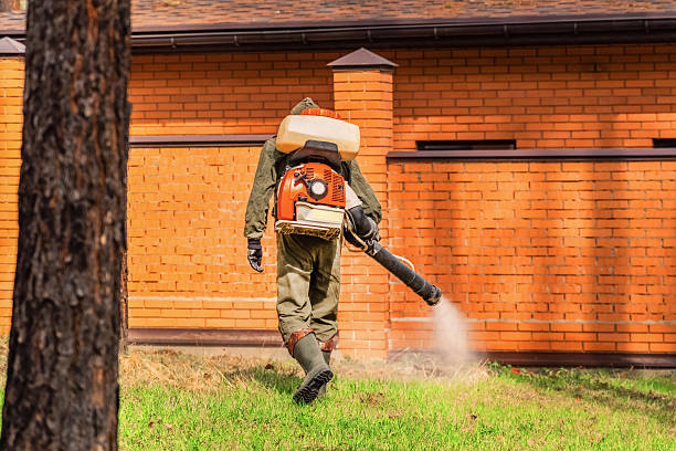 Top rated local Mosquito Control specialists in Blackfoot, ID